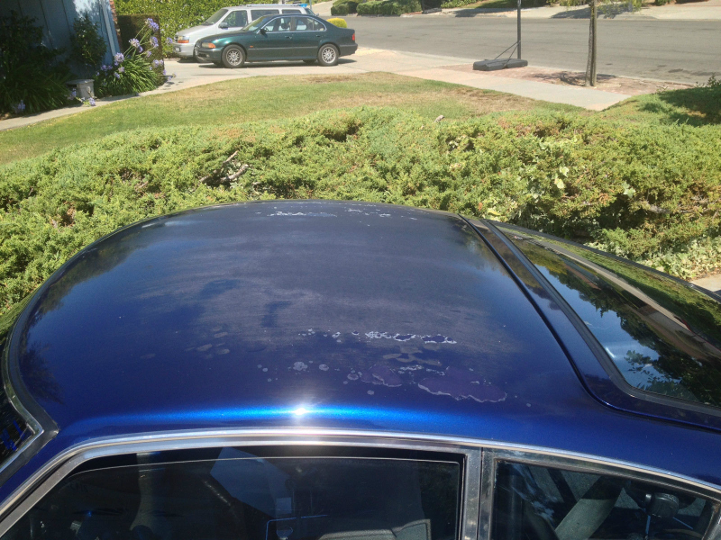 Illustration for article titled Is This 240Z Worth $23k For Rising Sun Rear-Drive Bliss?